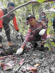 Karantina Pertanian Merauke Ikut Dalam Pelepasliaran Reptil