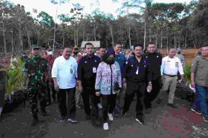 Kunjungi Sukoharjo, Mentan SYL Cek Persiapan Pengembangan Kelapa Genjah 1 Juta Batang
