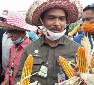 Kementan Genjot Produksi Jagung Untuk Bahan Pangan