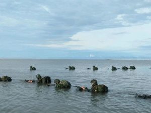 Tingkatkan Kemampuan Individu Dalam Operasi Khusus, Yonif Para Raider 432 Kostrad Melaksanakan Latihan Pemantapan Raider