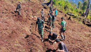 Perkuat Ketahanan Pangan di Intan Jaya Papua, Satgas Yonif PR 305 Kostrad Ngegas Buka Lahan