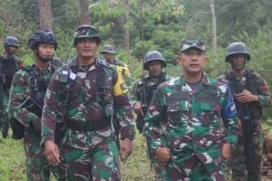 Danbrigif Mekanis Raider 6 Kostrad Tinjau Latihan Taktis Tingkat Batalyon Yonif Mekanis Raider 411 Kostrad
