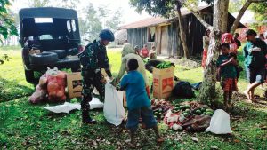 Blusukan Cari Petani Jayawijaya, Yonif R 321 Kostrad Borong Hasil Bumi