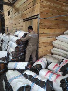 Penuhi Kebutuhan Nasional, Ratusan Ton Karet Asal Bade Berlayar Ke Surabaya