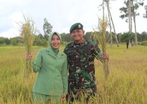 Manfaatkan Lahan Kosong, Yonif R 755 Kostrad Panen Raya Padi