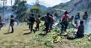 Bakar Batu Kampung Dambet, Yonif R 303 Sambut Tahun Baru Dengan Warga