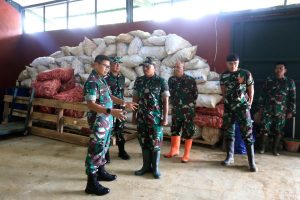 Dukung Program Ketahanan Pangan, Kaskostrad Mayjen TNI Muh Nur Rahmad, S.I.P., Tinjau dan Panen Jagung di Sukabumi
