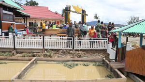 Sederhana Tetapi Berharga Buat Warga, Yonif PR 305 Bahagiakan Warga Intan Jaya