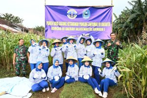 DUKUNG KETAHANAN PANGAN NASIONAL, KETUA KORCAB 3 DJA I PIMPIN PANEN RAYA JAGUNG