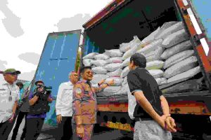 Mentan SYL Pastikan Kebutuhan Beras Untuk DKI Jakarta dan Nasional Aman