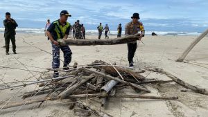 Komandan Lanal Simeulue Bersama Personel TNI-Polri dan Relawan Konservasi Penyu Beserta Komponen Masyarakat Laksanakan Bersih Pantai Along