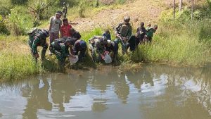 Gizi Terpenuhi Pendapatan Bertambah Di Nduga, Sambut HUT Kostrad Ke-62 Bibit Ikan Dari Prajurit Kostrad