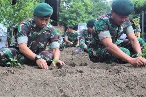Bertani di Perkotaan Salah Satu Program Ketahanan Pangan, Menarmed 2 Kostrad Bersama Warga Manfaatkan Lahan Kosong