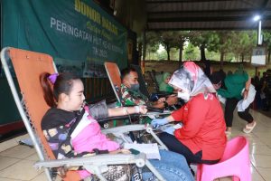 Ragam Kegiatan Sambut HUT Ke-62 Kostrad, Donor Darah Prajurit Yonif PR 330 Kostrad