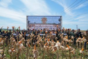 Pangkostrad Panen Jagung, Penanaman Simbolis Padi Japonica Rice dan Wijen Serta Peresmian Mess dan Gudang Hanpangan Kostrad