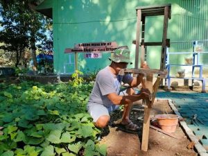 Manfaatkan Lahan Kosong di Pangkalan, Urban Farming di Markas Menarmed 2 Kostrad