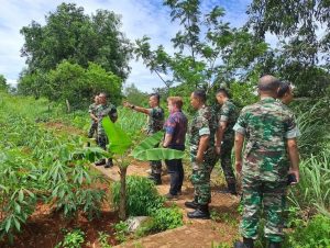 Kreatif Manfaatkan Lahan Tidur dan Lahan Kosong, Aster Kaskostrad Tinjau Lahan Ketahanan Pangan Yon Bekang 1 Kostrad