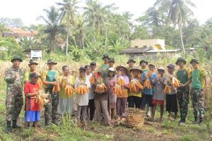 Nikmati Program Ketahanan Pangan, Yonif MR 412 Kostrad Bersama Masyarakat Panen Jagung