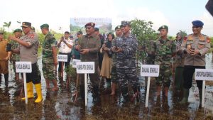 TNI AL Lanal Bengkulu Tanam Mangrove Serentak Se-Indonesia