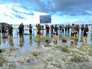 LANAL SIMEULUE BESERTA UNSUR FORKOPIMDA DAN MASYARAKAT MELAKSANAKAN PENANAMAN MANGROVE SERENTAK DIPIMPIN LANGSUNG OLEH PRESIDEN RI