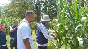 Penyuluhan Pertanian dan Ketahanan Pangan Kepada Para Prajurit Batalyon Zeni Tempur 10 Kostrad