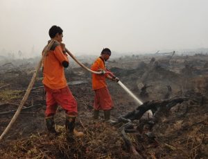 Pengendalian Karhutla Dinilai Mulai Membaik