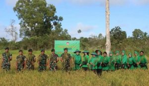 Panen Raya Kedua Yonif Raider 755/Yalet Divif 3 Kostrad di Ufuk Timur Indonesia