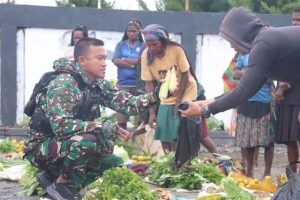 Gerakkan Roda Perekonomian di Intan Jaya, Satgas Yonif PR 330 Kostrad Brong Hasil Bumi