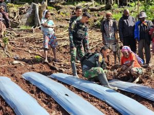 Satgas Yonif Para Raider 330 Kostrad Ajarkan Warga Bilogai Cara Bercocok Tanam Modern