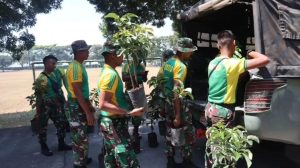 Dukung Program Penghijauan, Yonarmed 1 Kostrad Tanam Ratusan Pohon Alpukat