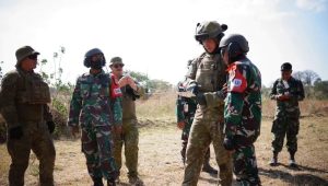 Manuver MBT Leopard 2A4 Yonkav 8 Kostrad dan M1 ABRAMS di Puslatpur V Marinir Baluran Situbondo Dipenuhi