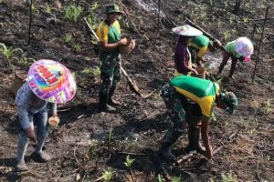 Wujudkan Kemanunggalan TNI dengan Rakyat, Satgas Yonarmed 10 Kostrad bersama Masyarakat Tanam Padi