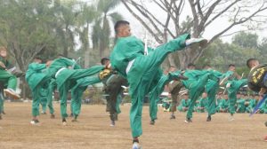 Prajurit Yonif R 323 Kostrad Laksanakan Latihan Beladiri Silat dan Karate
