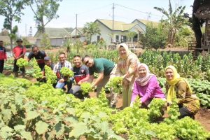 Danpussenarmed Kunjungan Nostalgia di Yonarmed 1 Kostrad