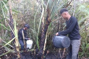 Aksi Cepat Tanggap Satgas Yonif 330 Kostrad, Berhasil Padamkan Kebakaran Hutan di Intan Jaya