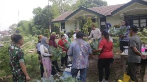 Sukseskan Program Ketahanan Pangan di Perkotaan, Yonarhanud 2 Kostrad Kolaborasi Dengan PT. Indolakto Dan DLH Kota Malang Melakukan Panen Bersama