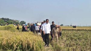 Ketahanan Pangan Indonesia: Tantangan dan Peluang dalam Menangani Ketergantungan pada Impor Pangan dan Meningkatkan Produksi Pangan Lokal