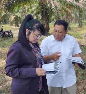 Pertanian Organik Berkemajuan: Peran Teknologi Biosoildam MA 11