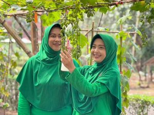 Sulap Lahan Tidur menjadi Lahan Produktif, Yonif 330 Kostrad Sukses Budidayakan Anggur