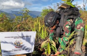 Satgas Yonif 330 Kostrad Peringati Hari Pohon Sedunia, Laksanakan Patroli dan Reboisasi Hutan Gundul di Intan Jaya