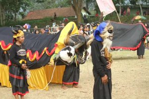 Yonif 502 Divif 2 Kostrad Gelar Acara Festival Bantengan se-Malang Raya
