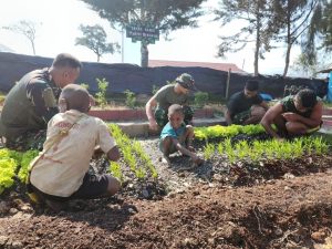 Manfaatkan Lahan Kosong, Satgas Yonif 330 Kostrad Bangun Kebun Edukasi, Ajak Anak-anak bercocok tanam dan Panen Sayuran