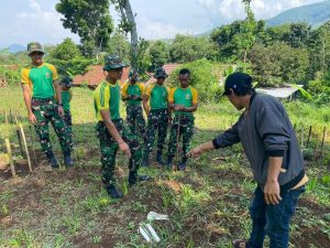 Yonif 330 Kostrad Gelar Transfer of Technology, Pengembangan Budidaya Pisang Cavendish