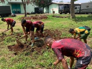 Yonbekang 1 Kostrad Membuka Lahan Baru Ketahanan Pangan