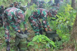 Prajurit Pasukan Langit Yonif 501 Kostrad diterjunkan ke Lereng Gunung Lawu Untuk Menanam 4.500 bibit pohon