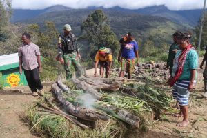 Tradisi Bakar Batu Satgas Yonif 330 Kostrad dan Warga Kampung Bazemba, Merajut Kasih dalam Keberagaman di Intan Jaya