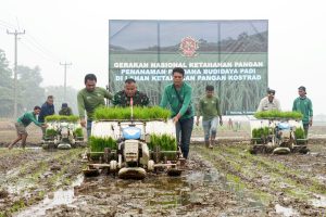 Gerakan Nasional Ketahanan Pangan, Pangkostrad Tanam Perdana Padi di Subang