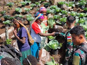 Dari Bumi Papua, Untuk Masyarakat Papua, Satgas Yonif 330 Kostrad Bagikan Hasil Panen Sayuran Organik