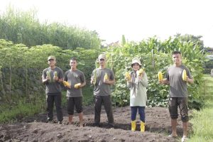 Brin dan Yonarhanud 2 Kostrad Bersinergi Meneliti Hasil Tanam Timun