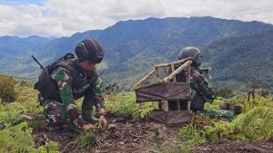 Peringati Hari Gerakan Satu Juta Pohon, Satgas Yonif 330 Kostrad Tanam Pohon Mahoni di Pegunungan Intan Jaya
